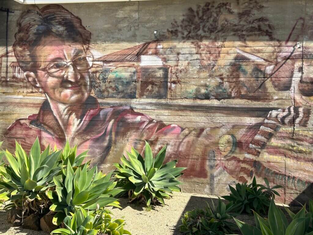 a mural on a Monto wall