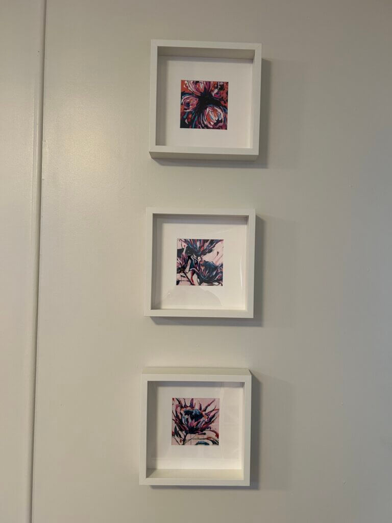 3 white framed pictures on a wall in Royal Jasmyb House